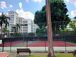 Windy Heights (D14), Condominium #555633341